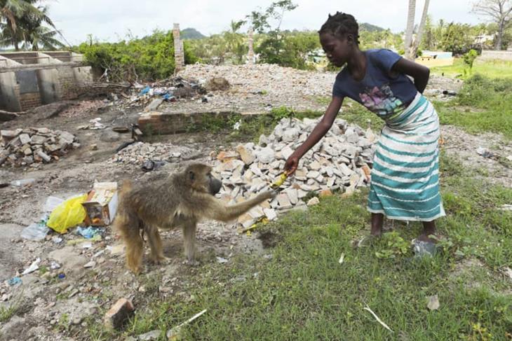 International aid helps Mozambique fight fast-spreading cholera