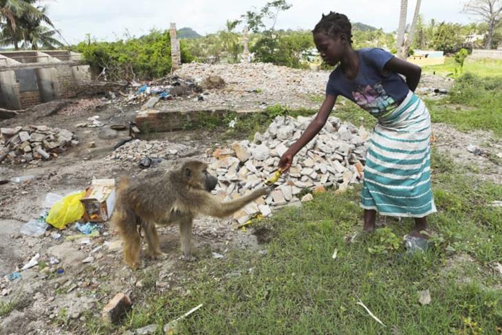 International aid helps Mozambique fight fast-spreading cholera