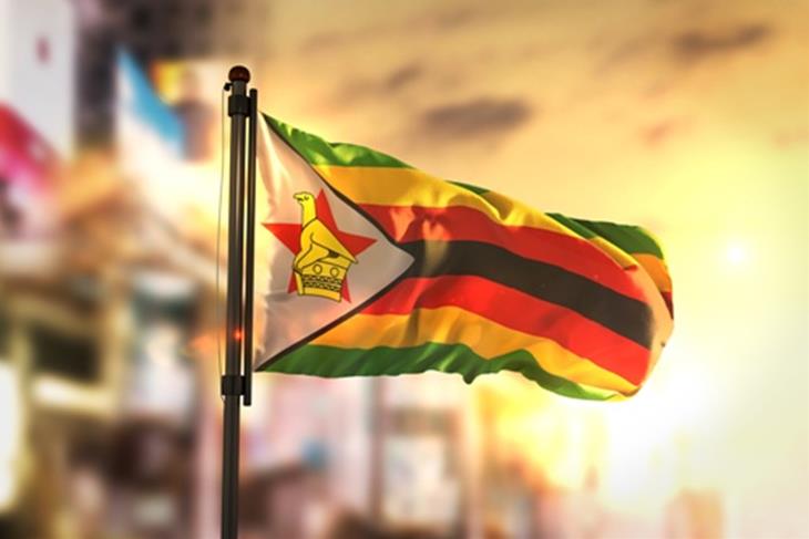 Zimbabwe former president flees anti-corruption probe.