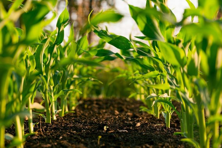 PS FINANCE URGES FARMERS TO ENGAGE INTO ORGANIC FARMING