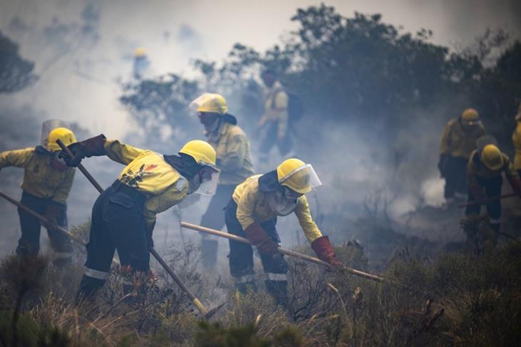 South Africans evacuates small coastal communities near Cape Town as wildfires burn out of control