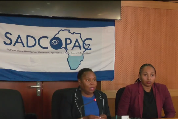 The PAC Chairperson says they are still doing their work properly