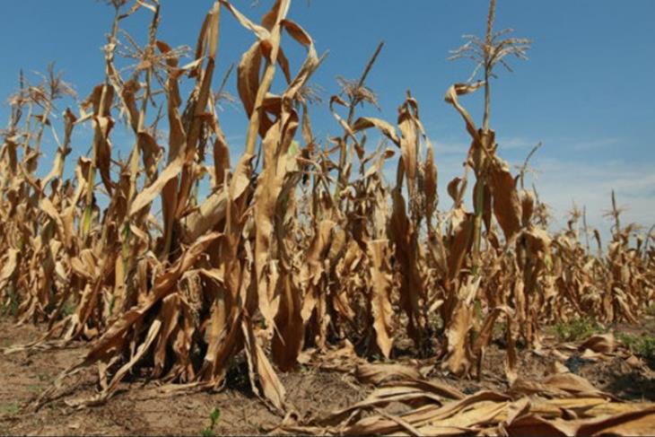 LESOTHO GETS DROUGHT INSURANCE PAYOUT