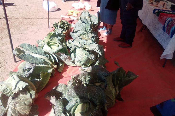 PRINCIPAL CHIEF CALLS FOR SUPPORT IN NUTRITION