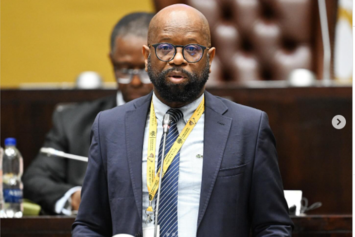 SOUTH AFRICA’S PARLIAMENT SLAMS OPERATION DUDULA