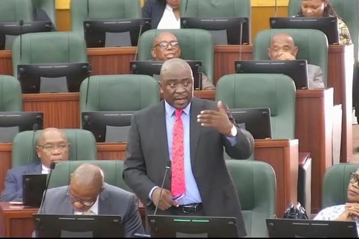 Ministry of health budget includes plans for medical school