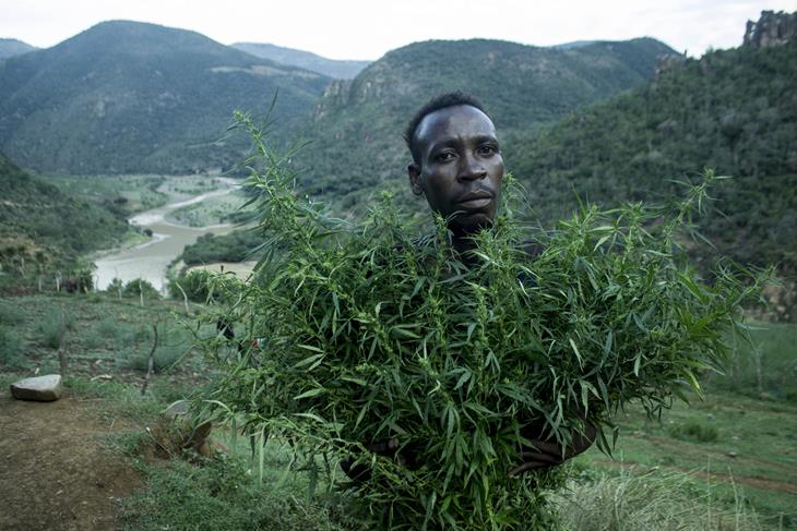 MAN IN COURT FOR ILLEGAL POSSESSION OF DAGGA