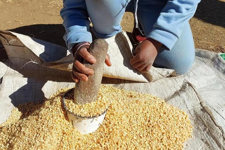 LESOTHO CALLS FOR LONG-TERM AFRICAN RESPONSE TO FERTILISER CRISIS