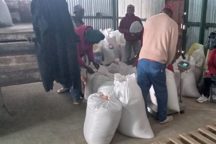 FARMERS UNHAPPY WITH DMA GRAIN PURCHASE PRICES