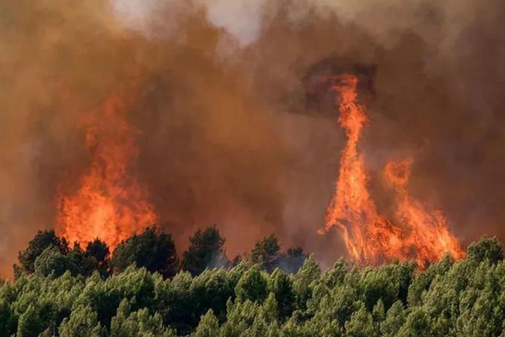 France records 2,025 excess deaths at peak of heatwave as Europe braces for more extreme weather<br/>France records 2,025 excess deaths at peak of heatwave as Europe braces for more extreme weather<br/>France records 2,025 excess deaths at peak of heatwave as Europe braces for more extreme weather
