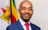 Chamisa appears before the Motlanthe Commission of Inquiry.