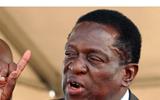 Mnangwagwa admits that Mugabe’s land reform programme robbed Zimbabwe’s farm productivity.