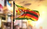 Zimbabwe former president flees anti-corruption probe.