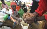 More than half of a population faces hunger in Zimbabwe.