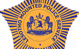 Police constable sentenced for killing