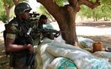SEPARATIST GUNMEN KILL AT LEAST 20 IN CAMEROON