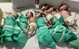 Infants found dead and decomposing in evacuated hospital ICU in Gaza