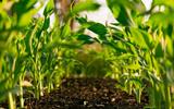 PS FINANCE URGES FARMERS TO ENGAGE INTO ORGANIC FARMING