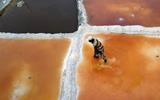 Sahara salt diggers struggle to maintain centuries-old trade