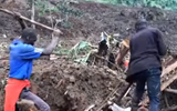 Dozens killed after landslides bury 40 homes in eastern Uganda