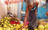 Roma Vendors Return to Road Reserve Despite Legal Defeat and Demolition Risks