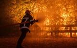 Macron calls crisis meeting as wildfires threaten Bordeaux and heatwave looms
