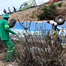 Bus crash in South African mountains kills at least 42