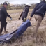 At least 49 dead in South Africa flooding, students washed away in bus