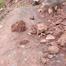 LANDSLIDE BLOCKS LIPHAPANG –MATS’ELABELI ROAD