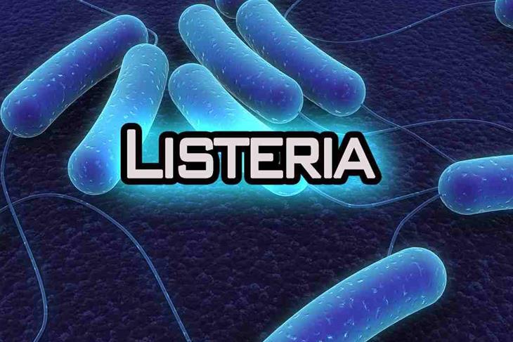 Four African countries suspend imports of chilled meat from South Africa with immediate effect