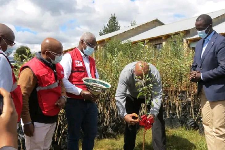 NATIONAL LEADERSHIP AND STANDARD LESOTHO BANK IGNITE MASSIVE REFORESTATION DRIVE AT MEELING PRIMARY<br/>NATIONAL LEADERSHIP AND STANDARD LESOTHO BANK IGNITE MASSIVE REFORESTATION DRIVE AT MEELING PRIMARY<br/>NATIONAL LEADERSHIP AND STANDARD LESOTHO BANK IGNITE MASSIVE REFORESTATION DRIVE AT MEELING PRIMARY