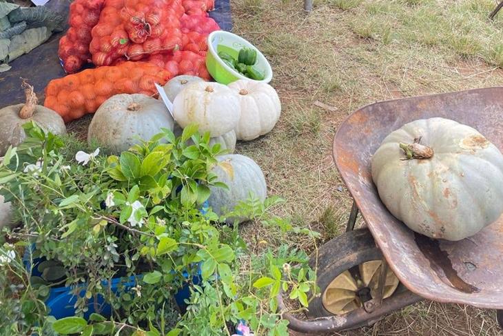 QUTHING FARMERS BRAVE HEAVY RAINS FOR SADP II DISTRICT MARKET DAY<br/>QUTHING FARMERS BRAVE HEAVY RAINS FOR SADP II DISTRICT MARKET DAY<br/>QUTHING FARMERS BRAVE HEAVY RAINS FOR SADP II DISTRICT MARKET DAY