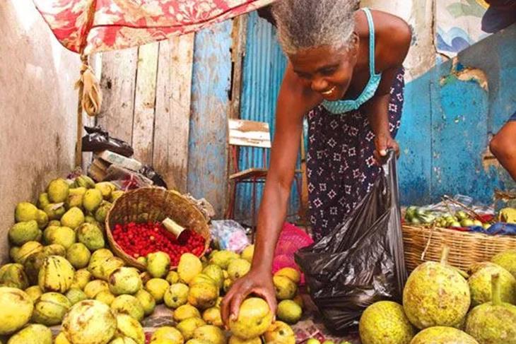 Roma Vendors Return to Road Reserve Despite Legal Defeat and Demolition Risks<br/>Roma Vendors Return to Road Reserve Despite Legal Defeat and Demolition Risks<br/>Roma Vendors Return to Road Reserve Despite Legal Defeat and Demolition Risks