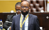 SOUTH AFRICA’S PARLIAMENT SLAMS OPERATION DUDULA