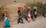 El Niño set to be 'strongest in living memory', says Met Office