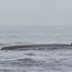 At least 12 dead and dozens missing after a vessel capsizes in DRC